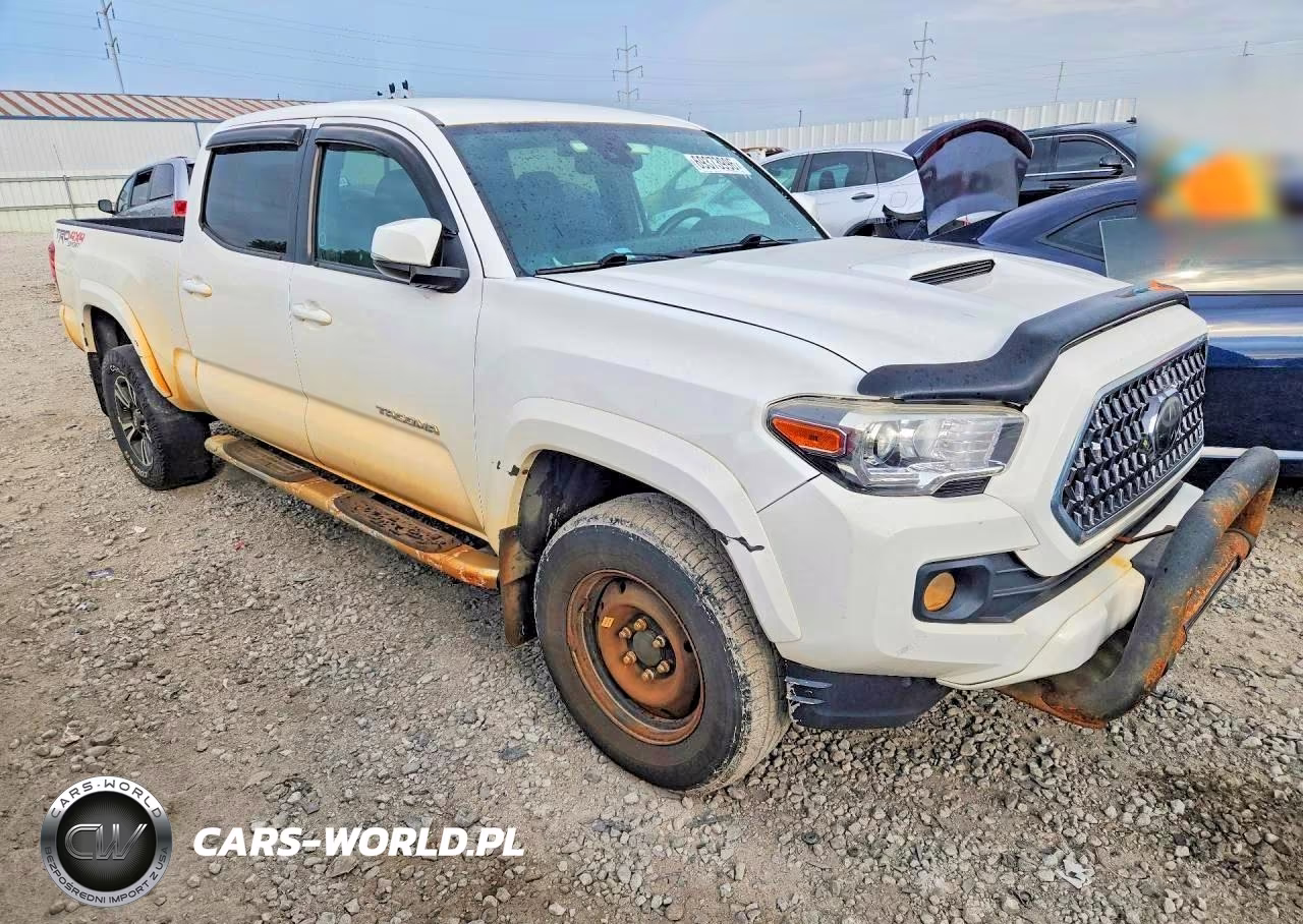 2019 Toyota Tacoma Sr5 V6 VIN:5TFDZ5BNXKX038696 - 4