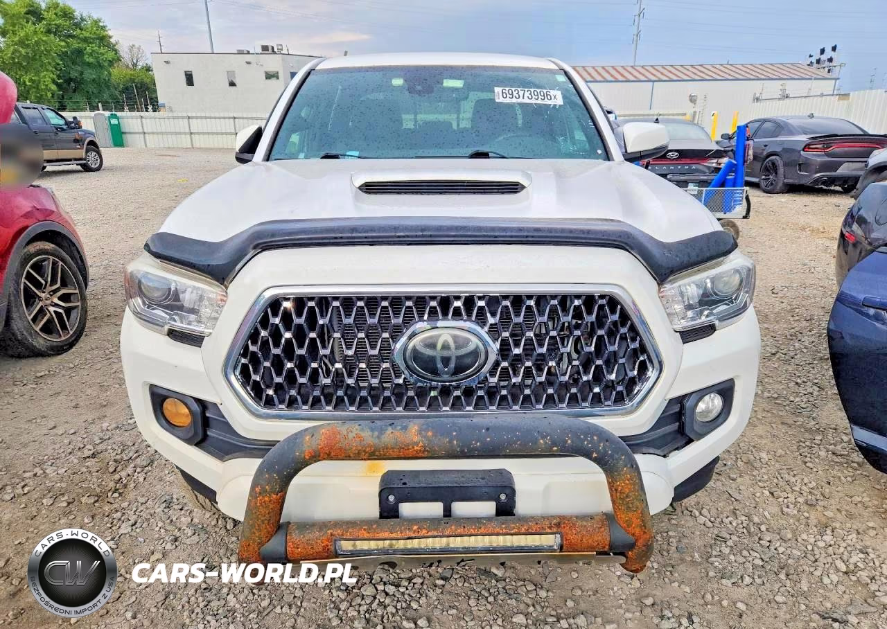 2019 Toyota Tacoma Sr5 V6 VIN:5TFDZ5BNXKX038696 - 5