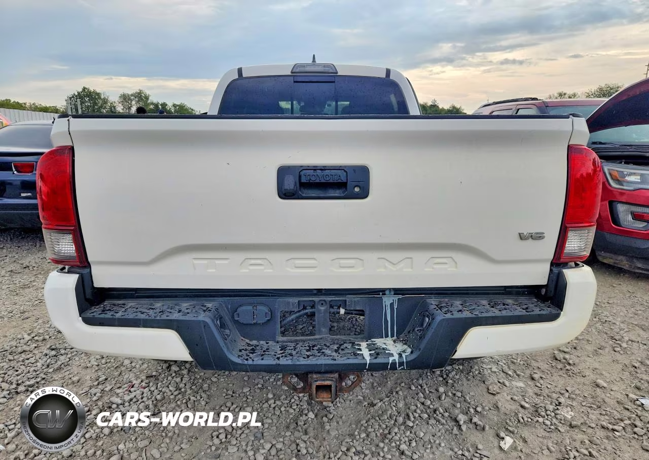 2019 Toyota Tacoma Sr5 V6 VIN:5TFDZ5BNXKX038696 - 6