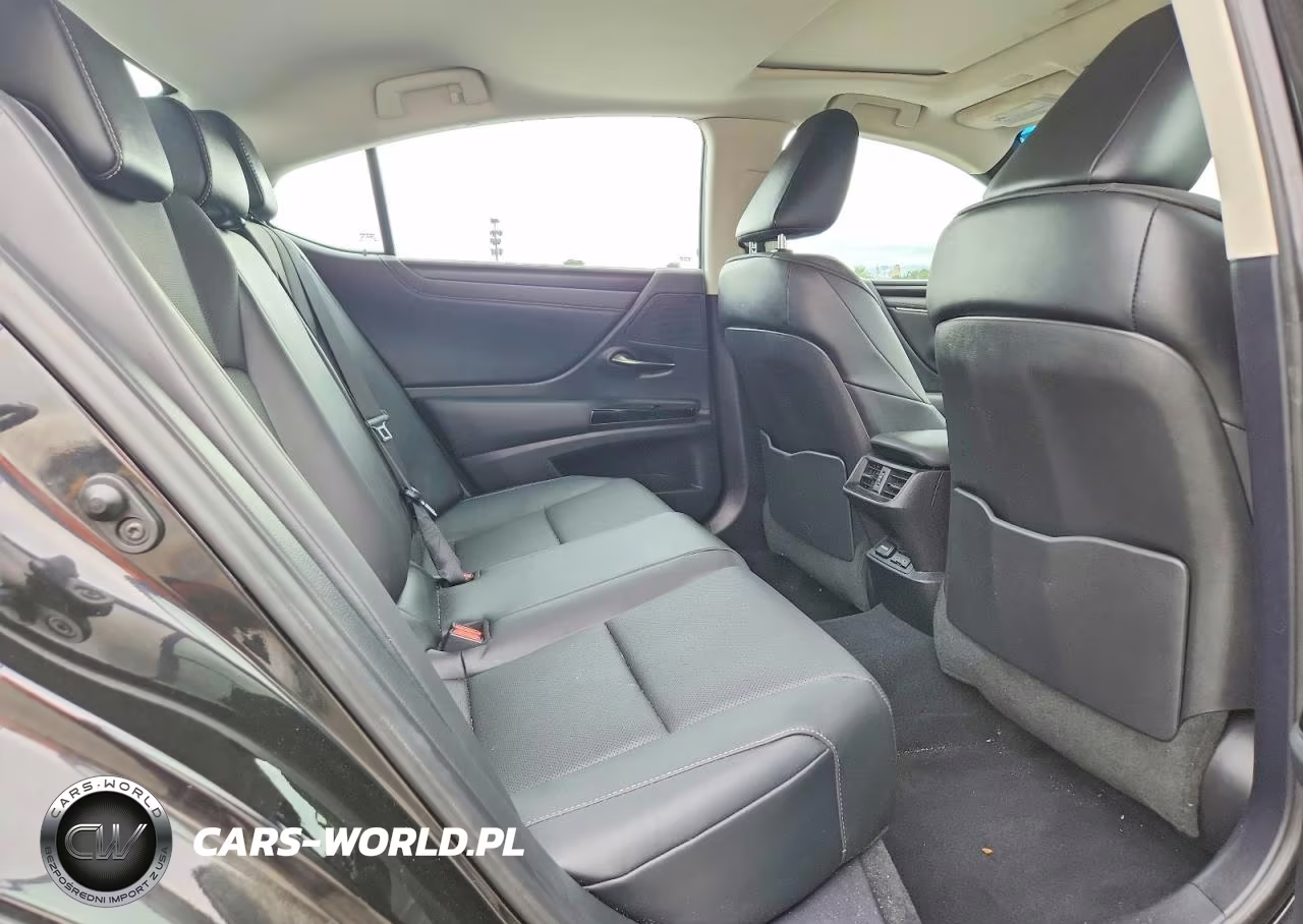 2022 Lexus Es 350 Base VIN:58ADZ1B10NU115091 - 10