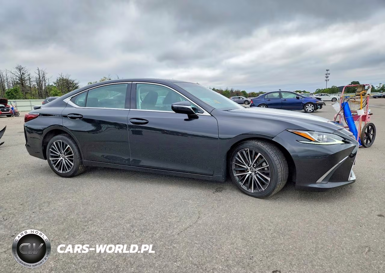 2022 Lexus Es 350 Base VIN:58ADZ1B10NU115091 - 4