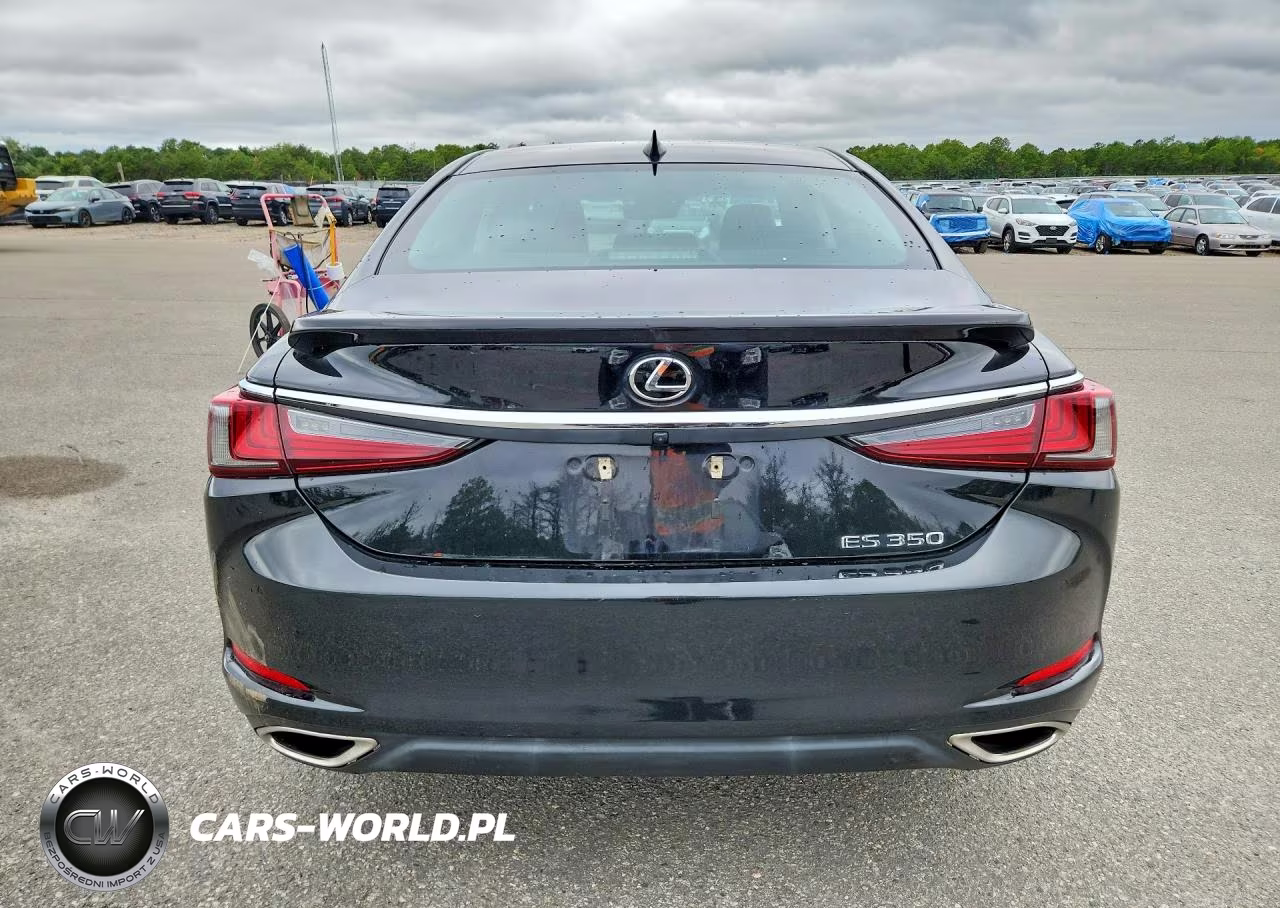 2022 Lexus Es 350 Base VIN:58ADZ1B10NU115091 - 6