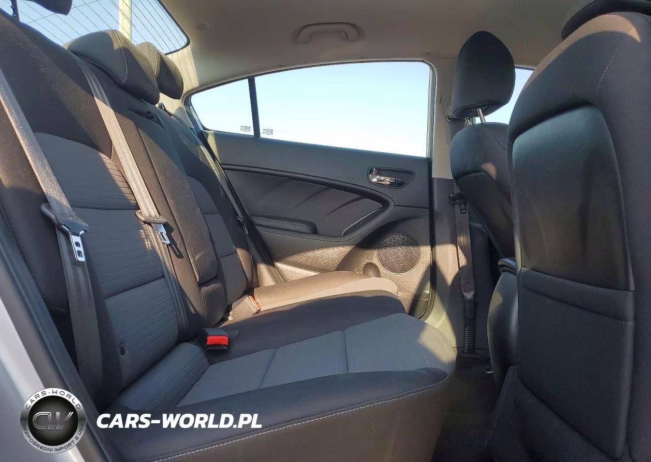 2015 Kia Forte Lx VIN:KNAFX4A69F5430117 - 10