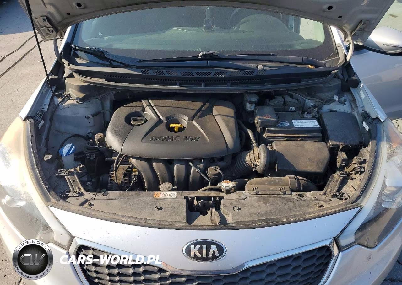 2015 Kia Forte Lx VIN:KNAFX4A69F5430117 - 11