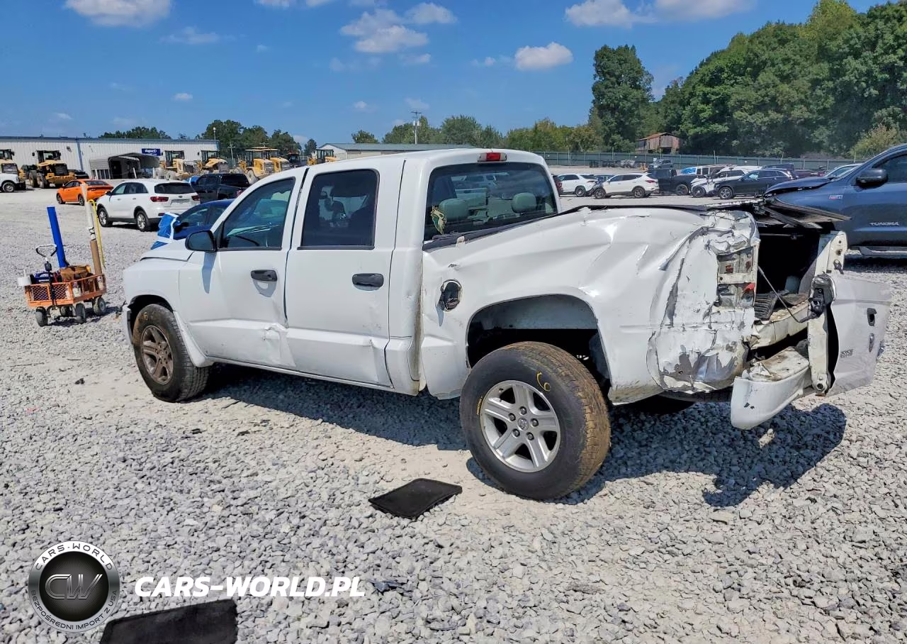 2011 Dodge Dakota Slt VIN:1D7RE3GK5BS712535 - 2