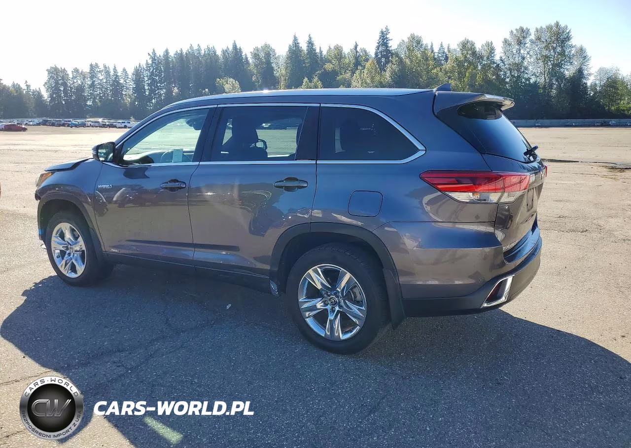 2019 Toyota Highlander Hybrid Limited VIN:5TDDGRFH9KS073673 - 2