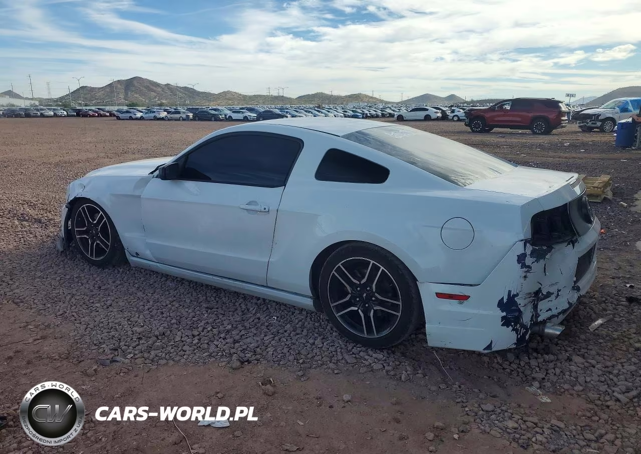 2014 Ford Mustang VIN:1ZVBP8AM2E5241389 - 2