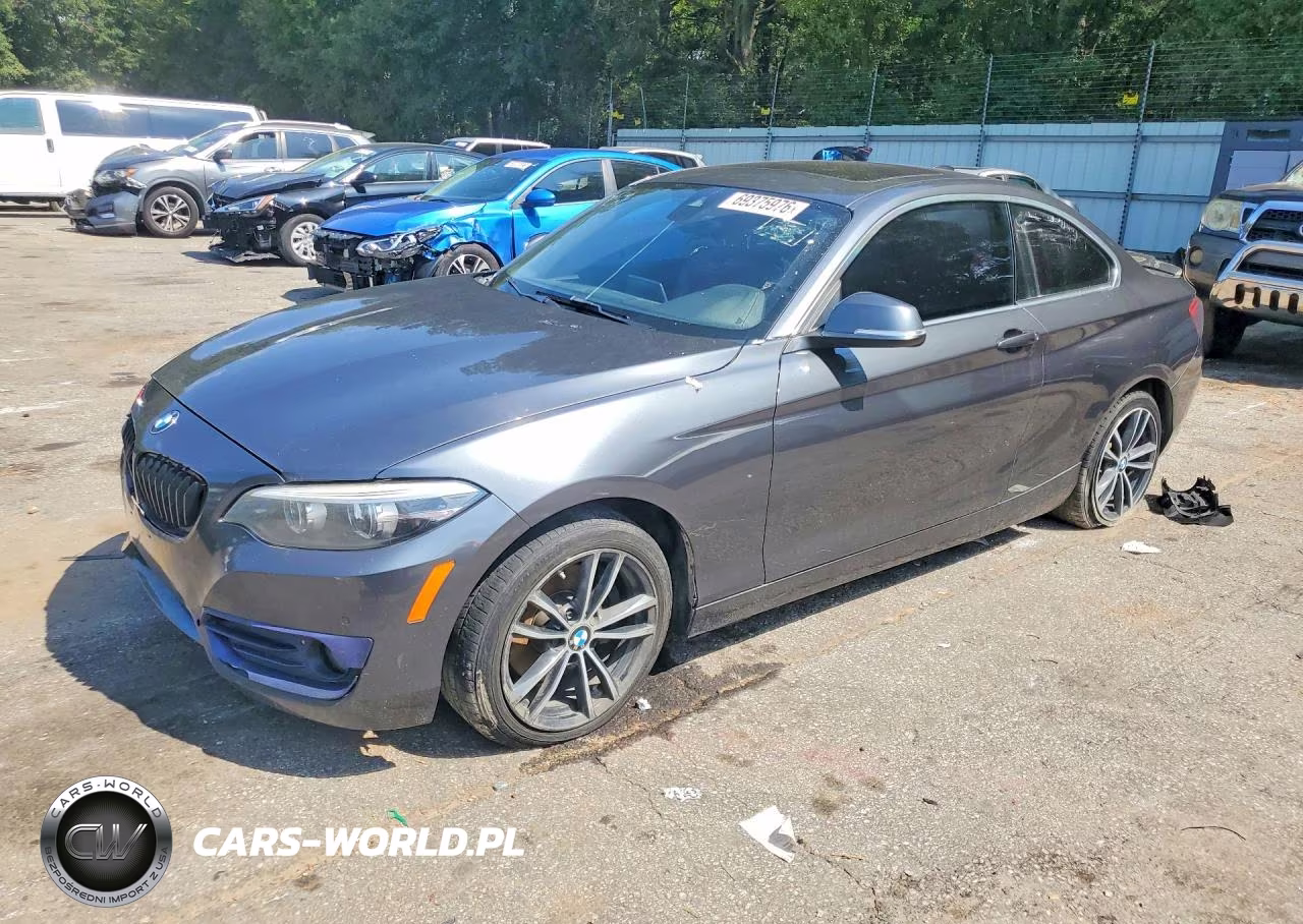 2019 BMW 230I VIN:WBA2J1C51KVD10134 - 1