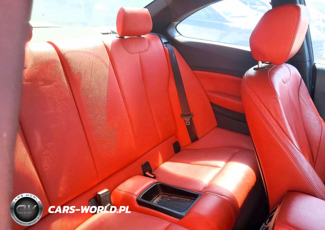2019 BMW 230I VIN:WBA2J1C51KVD10134 - 10