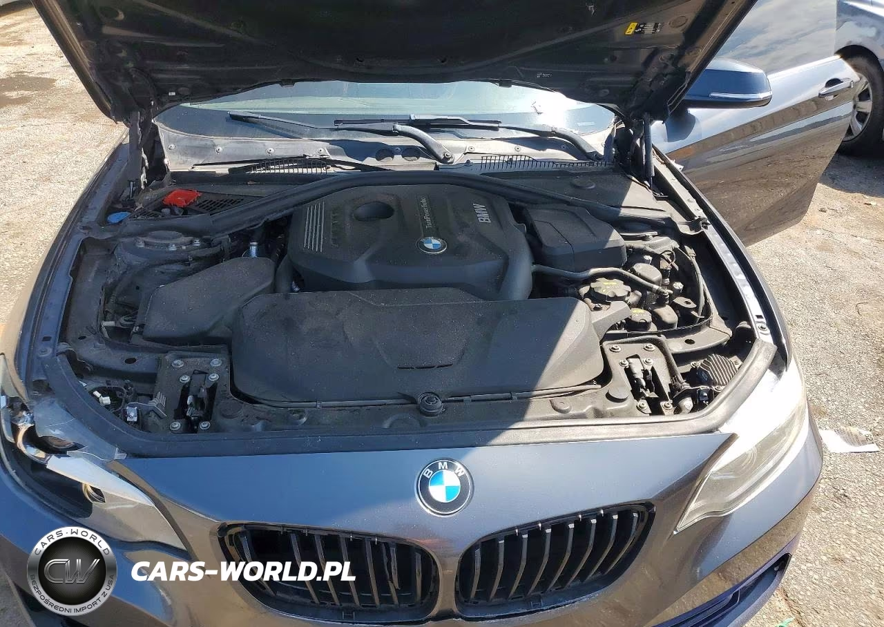 2019 BMW 230I VIN:WBA2J1C51KVD10134 - 11