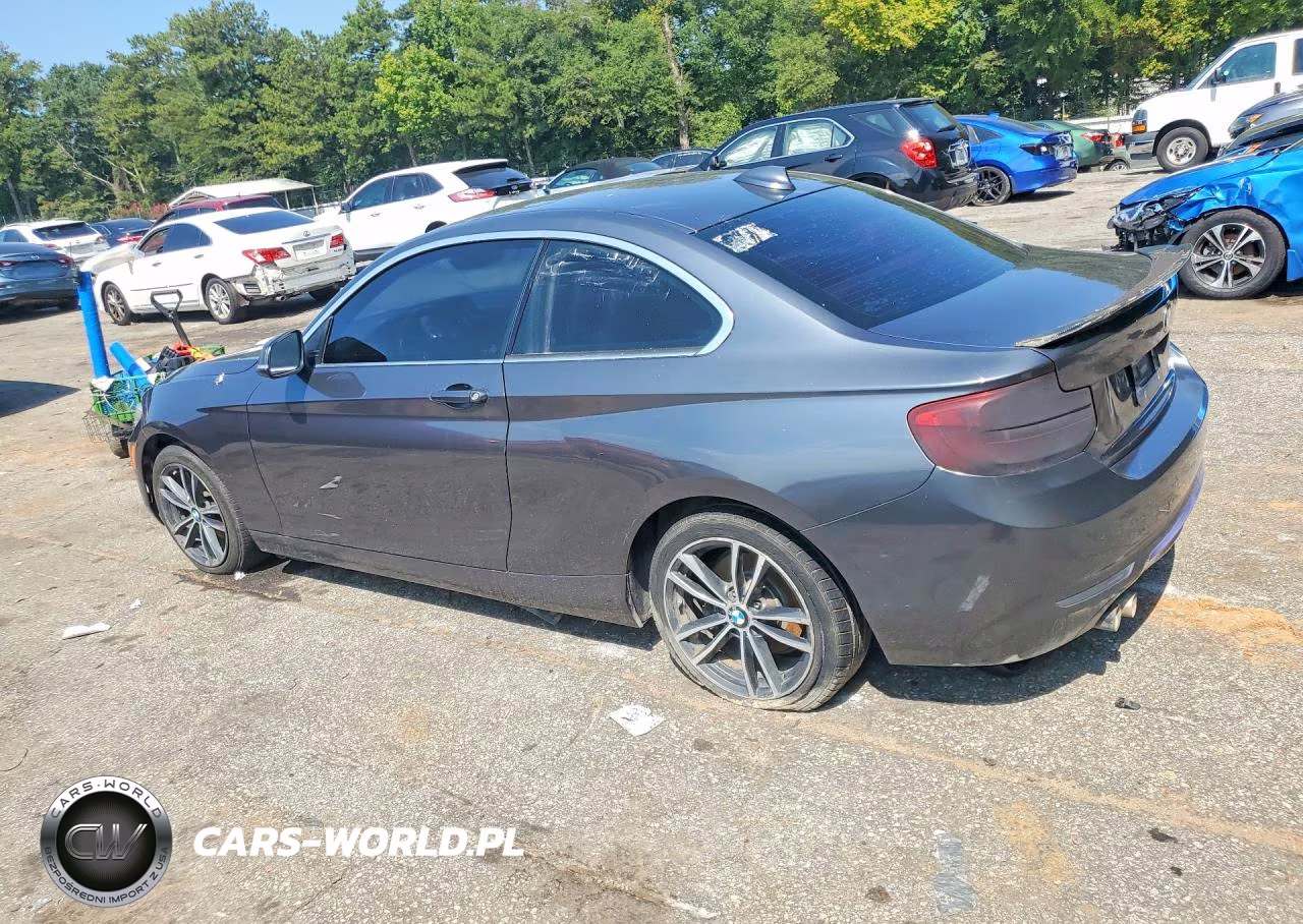 2019 BMW 230I VIN:WBA2J1C51KVD10134 - 2