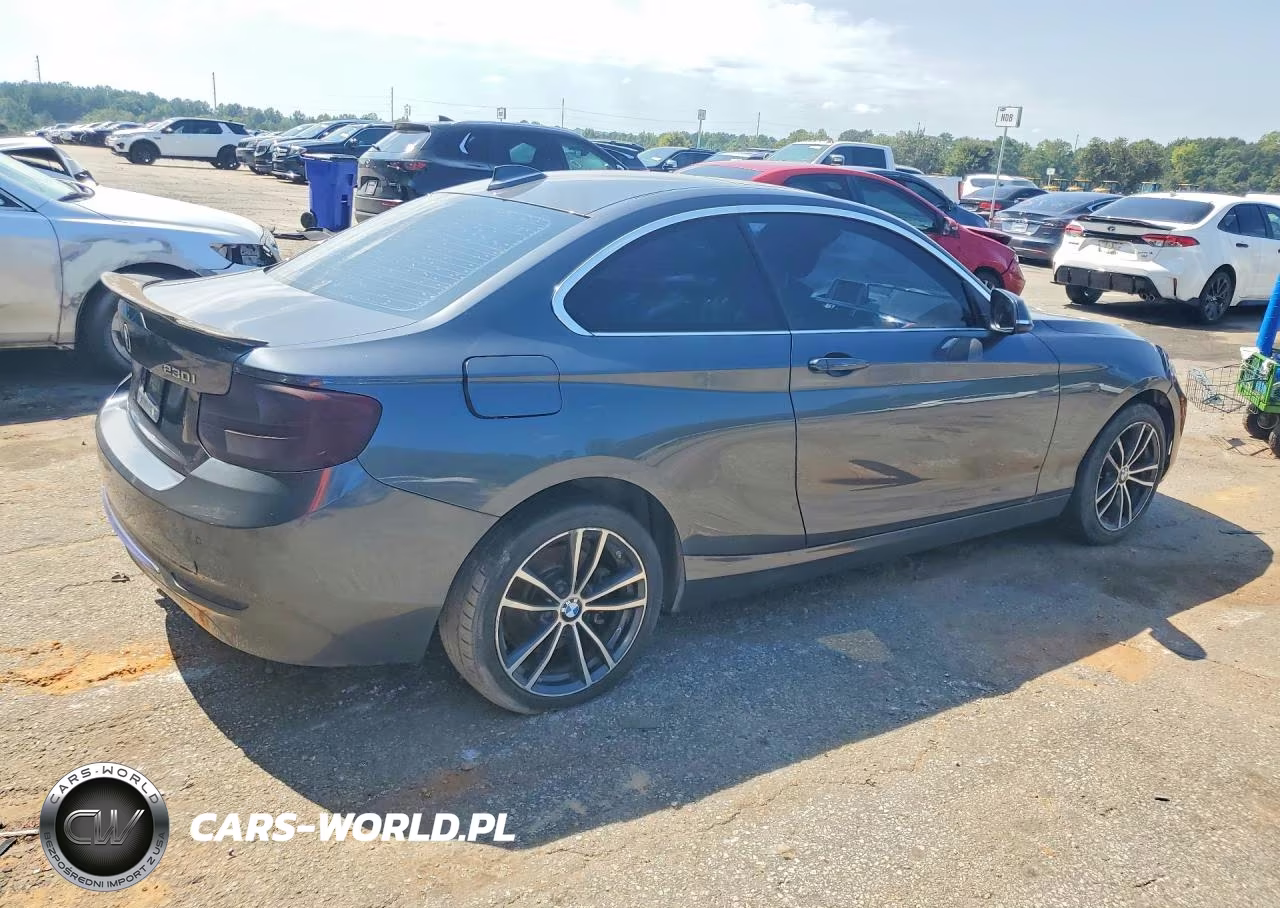 2019 BMW 230I VIN:WBA2J1C51KVD10134 - 3