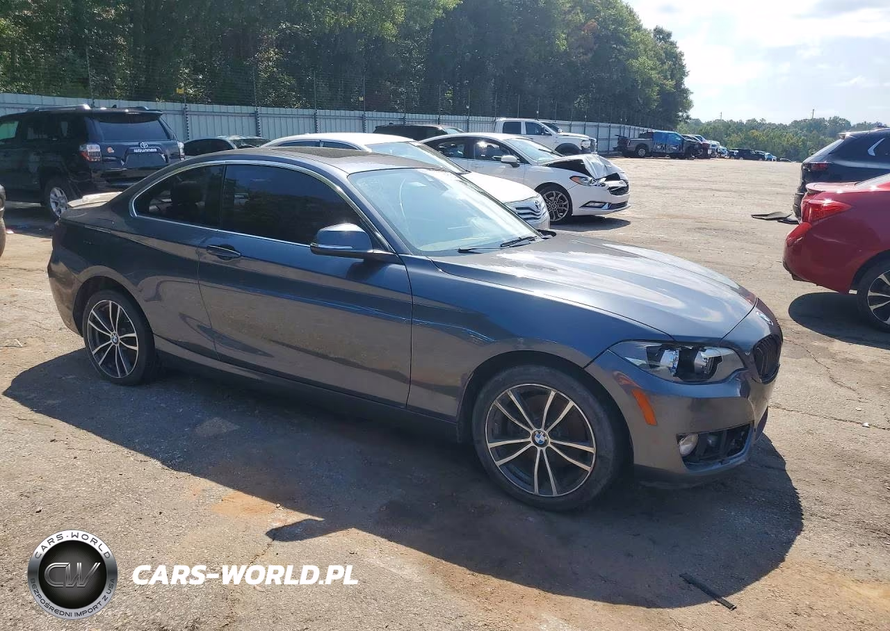 2019 BMW 230I VIN:WBA2J1C51KVD10134 - 4
