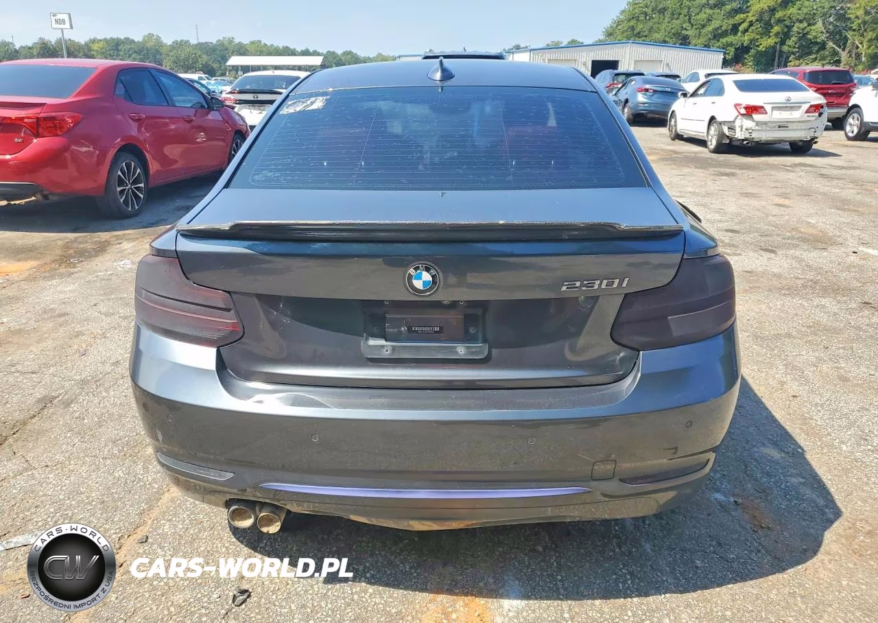 2019 BMW 230I VIN:WBA2J1C51KVD10134 - 6