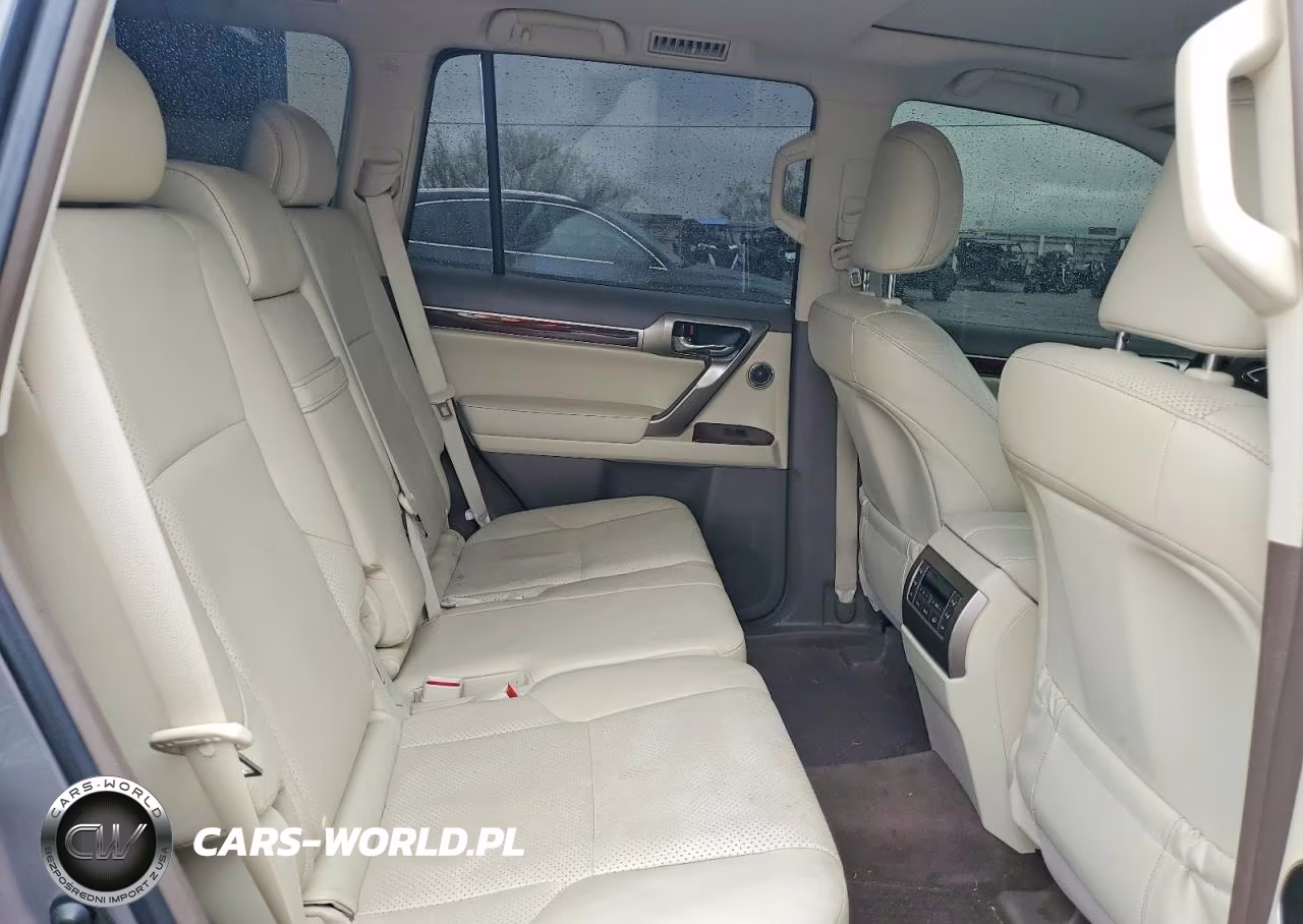 2010 Lexus Gx 460 Premium VIN:JTJJM7FX8A5015207 - 11