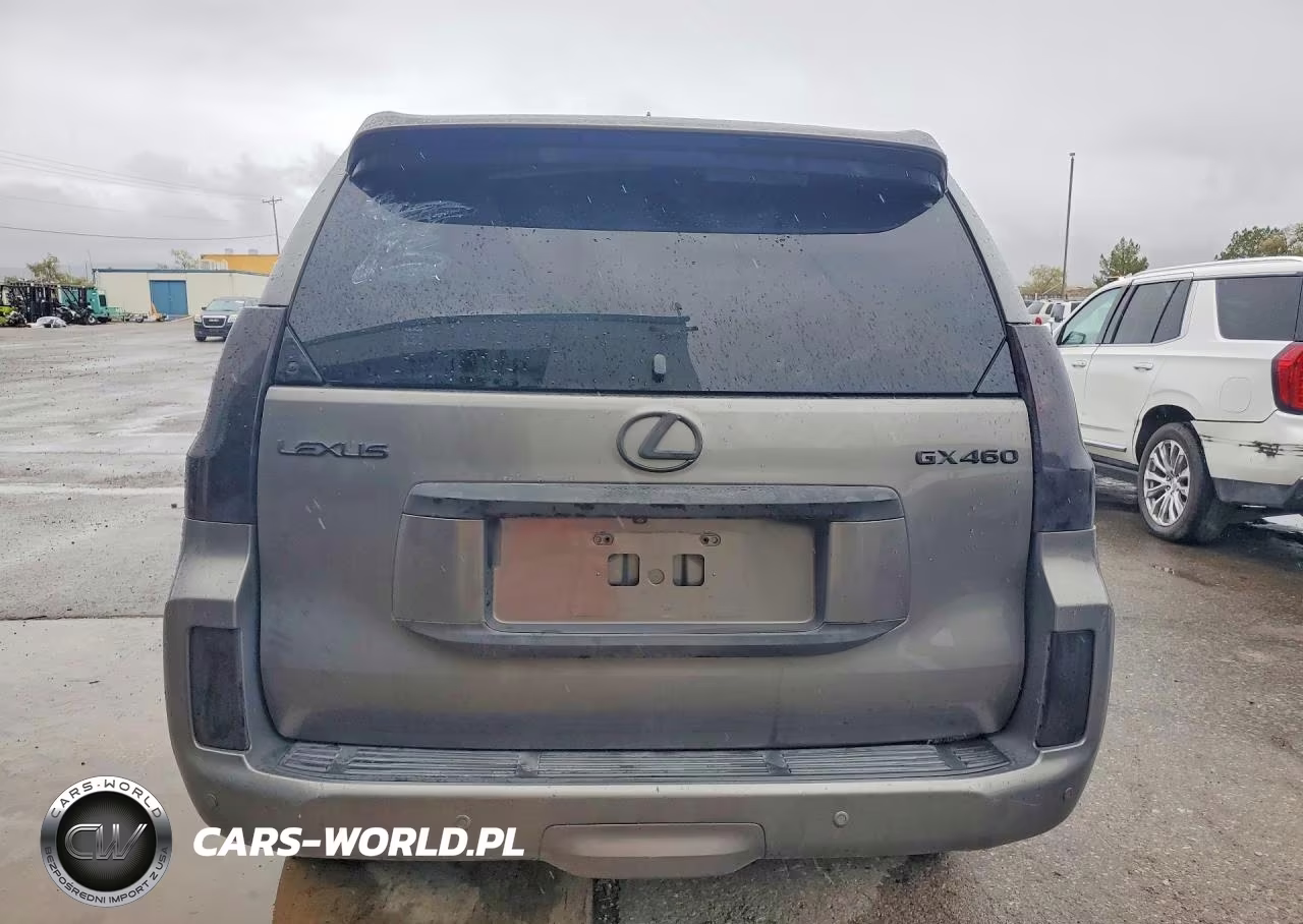 2010 Lexus Gx 460 Premium VIN:JTJJM7FX8A5015207 - 6