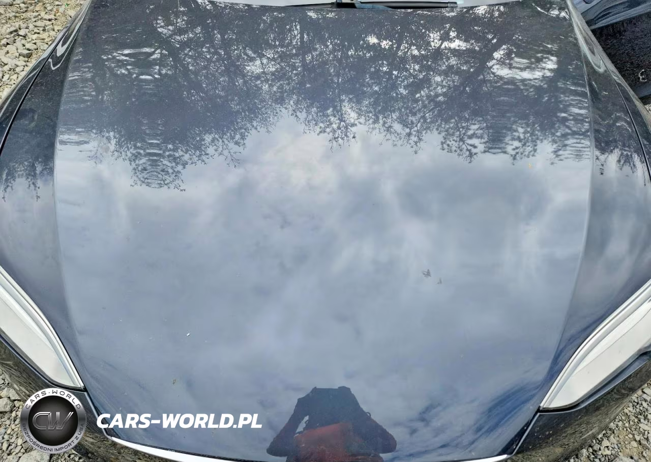 2018 Tesla Model S VIN:5YJSA1E25JF276148 - 11