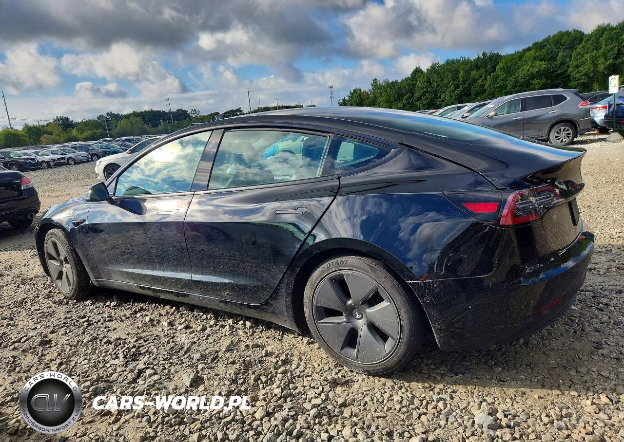 2021 Tesla Model 3 VIN:5YJ3E1EA0MF028426 - 2