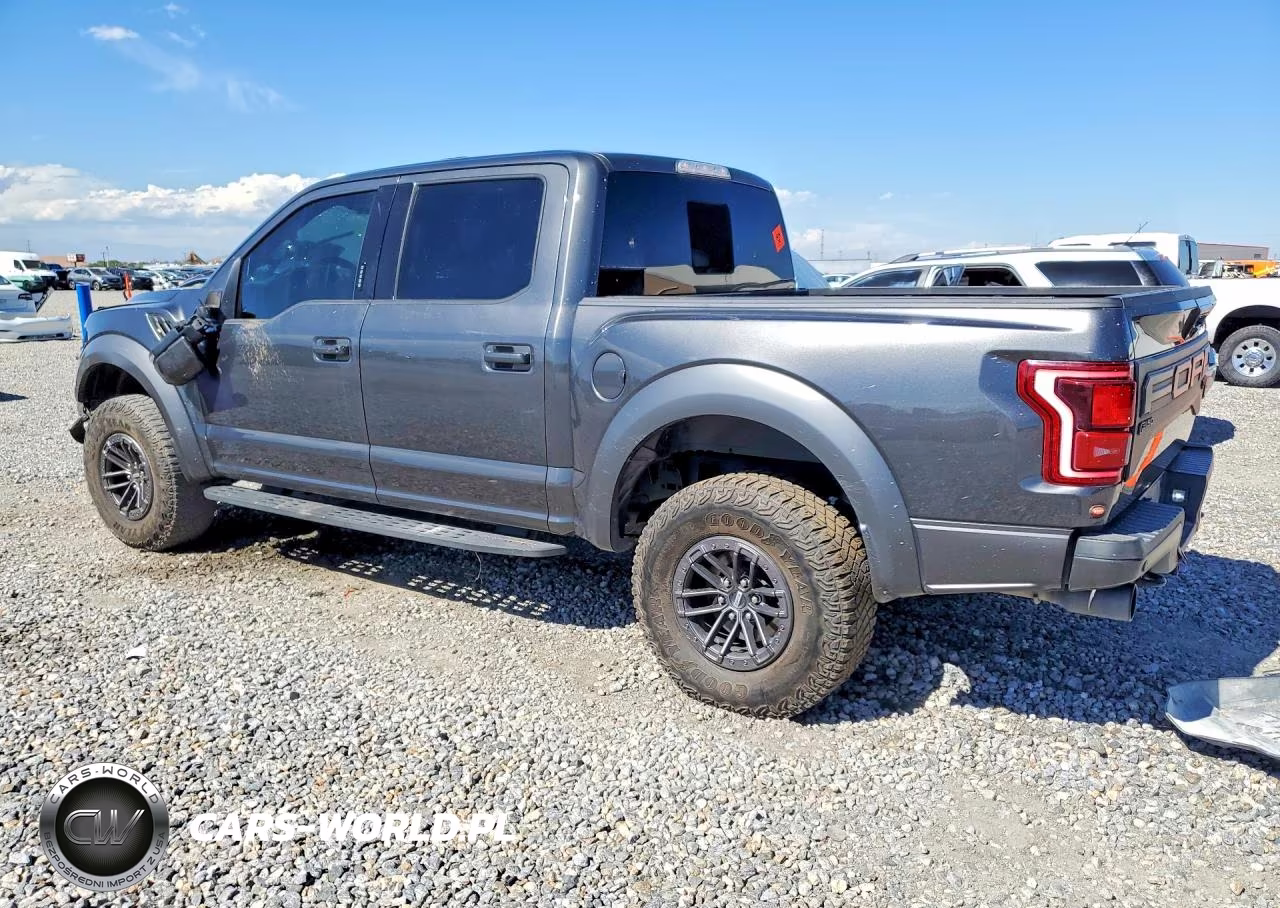 2020 Ford F150 Raptor VIN:1FTFW1RG4LFB35076 - 2