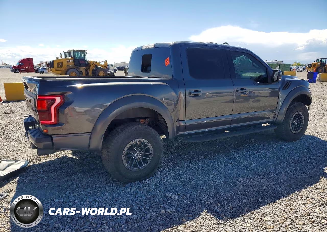 2020 Ford F150 Raptor VIN:1FTFW1RG4LFB35076 - 3