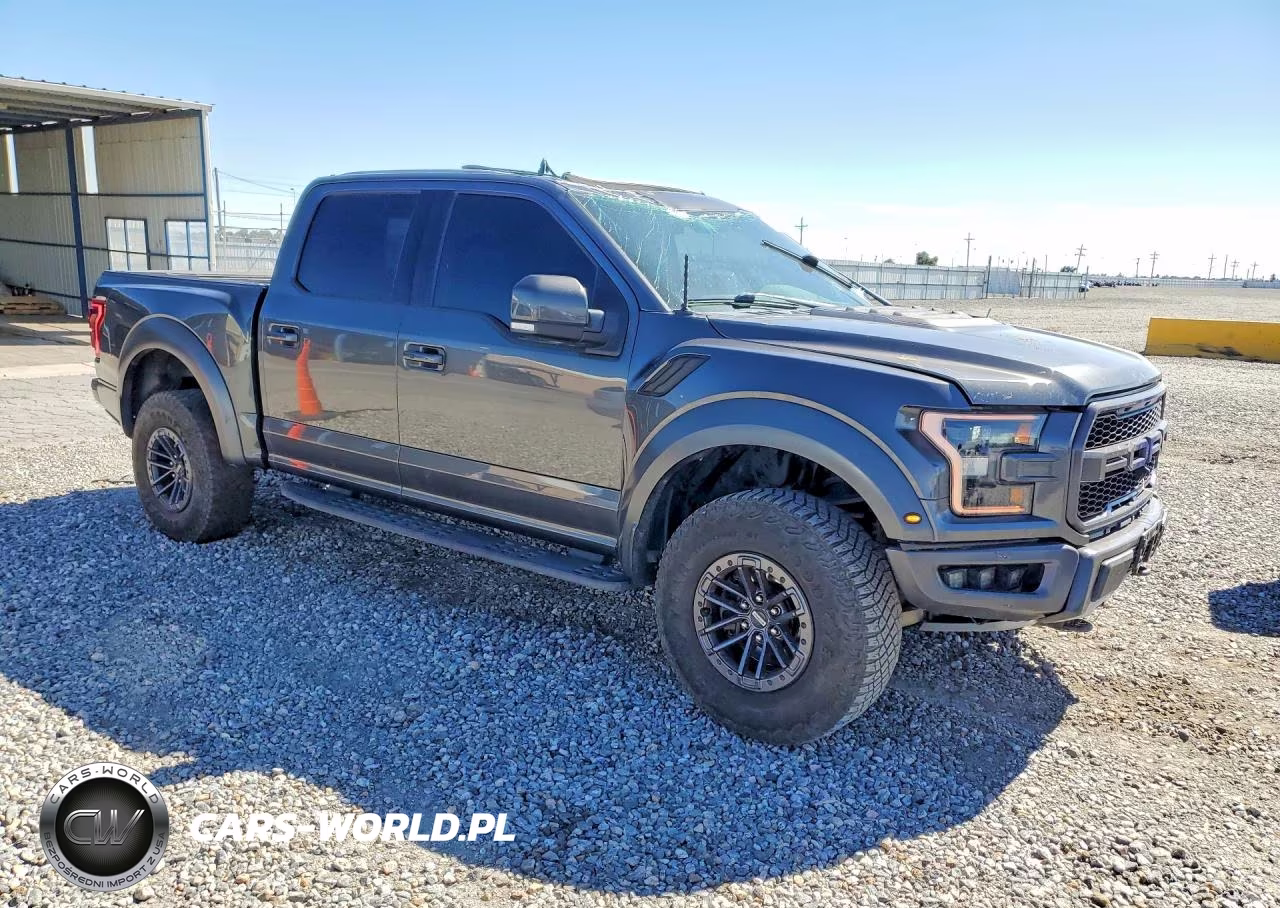 2020 Ford F150 Raptor VIN:1FTFW1RG4LFB35076 - 4