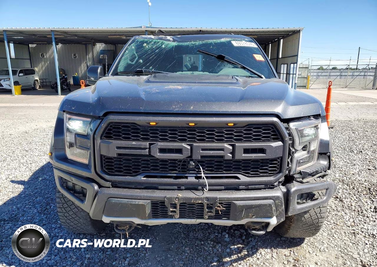 2020 Ford F150 Raptor VIN:1FTFW1RG4LFB35076 - 5