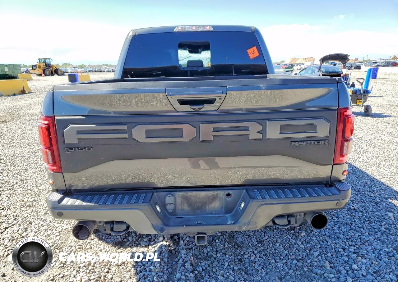2020 Ford F150 Raptor VIN:1FTFW1RG4LFB35076 - 6