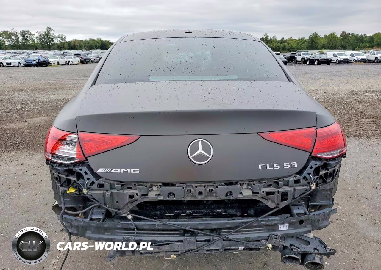 2020 Mercedes-Benz Cls Amg 53 4Matic VIN:WDD2J6BBXLA050772 - 6