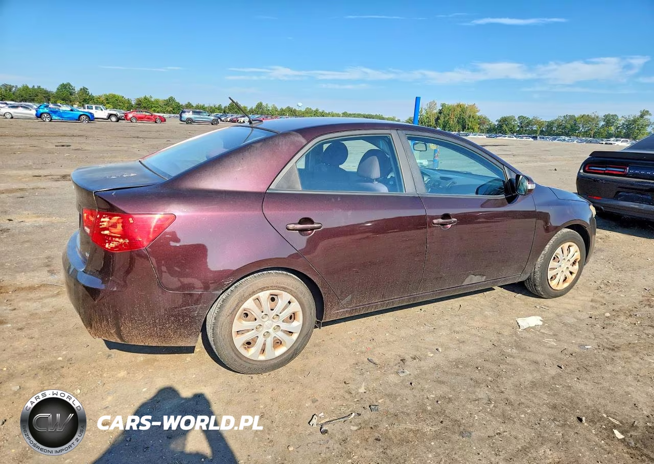 2010 Kia Forte Ex VIN:KNAFU4A21A5849786 - 3