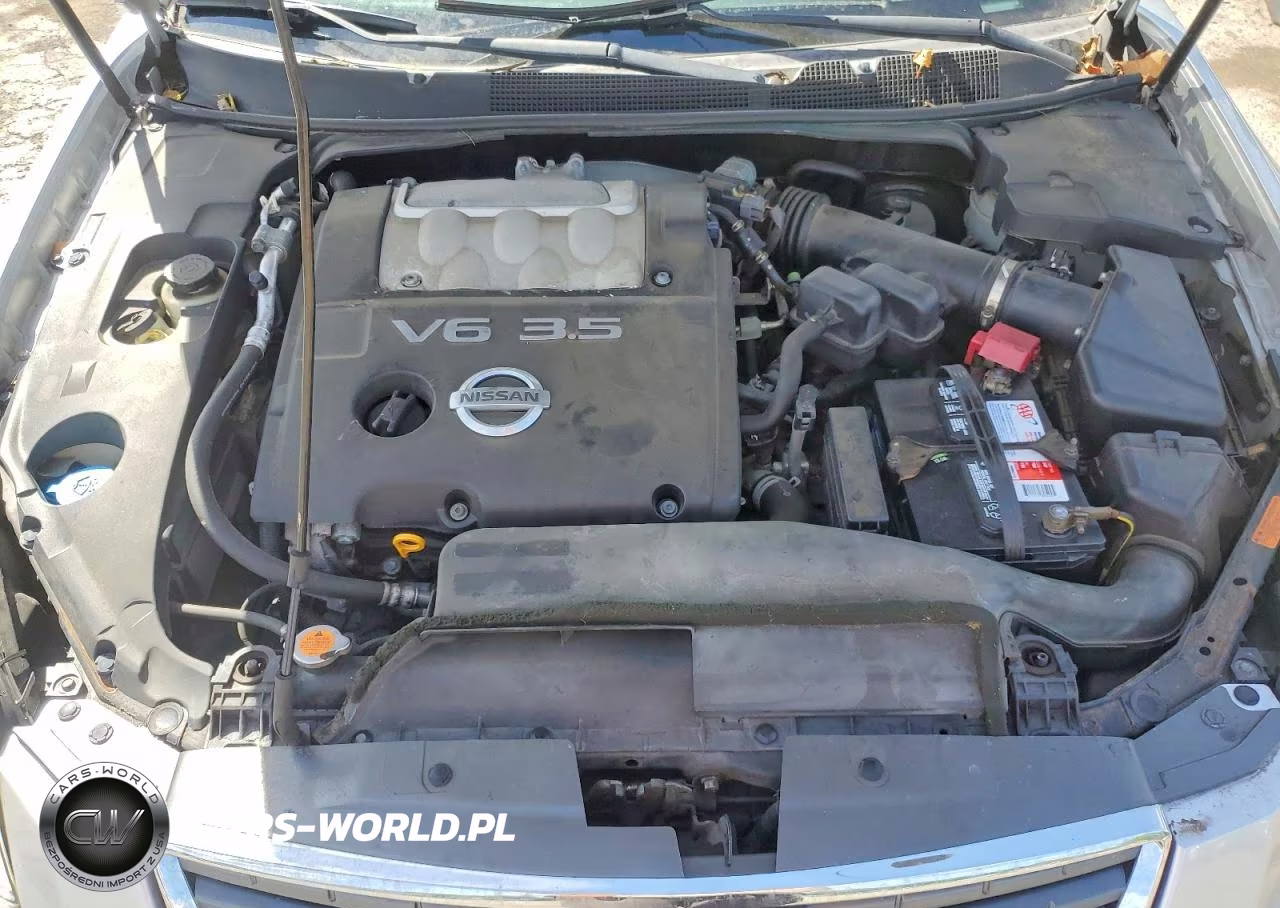 2008 Nissan Maxima 3.5 Se VIN:1N4BA41E48C811548 - 11