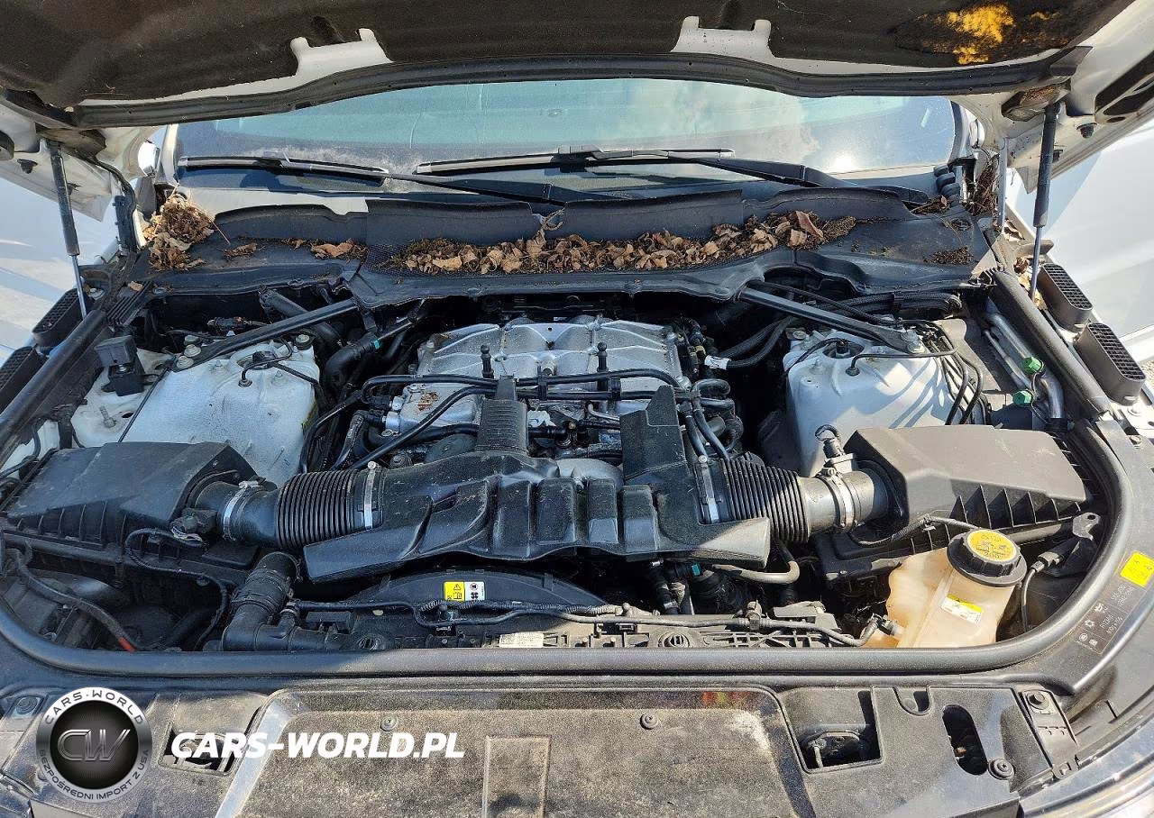 2019 Land Rover Range Rover Sport Hse Dynamic VIN:SALWV2SV8KA420997 - 12