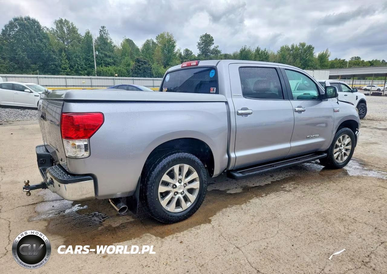2010 Toyota Tundra Crewmax Limited VIN:5TFHW5F16AX114303 - 3