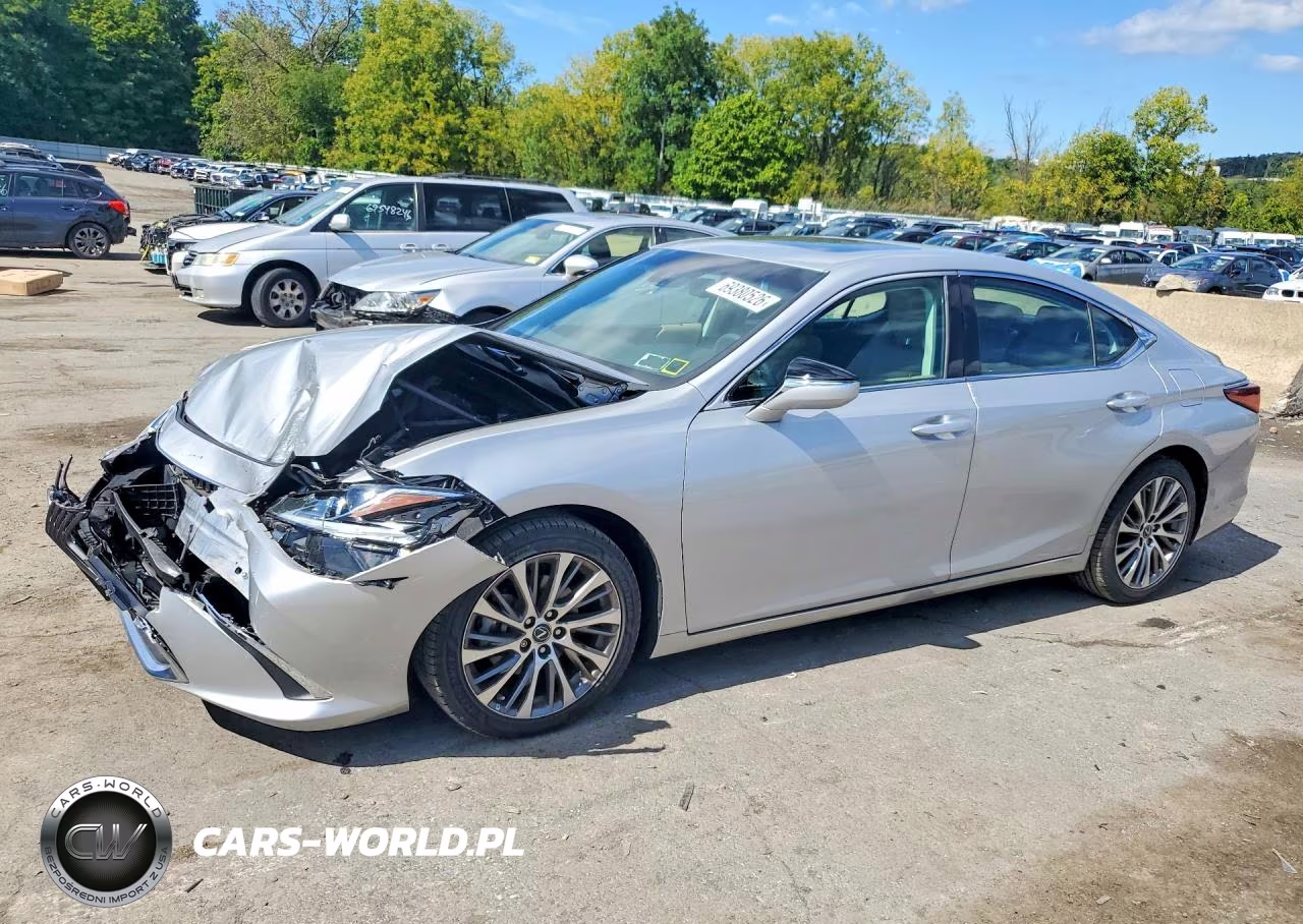 2020 Lexus Es 350 VIN:58ADZ1B1XLU077656 - 1