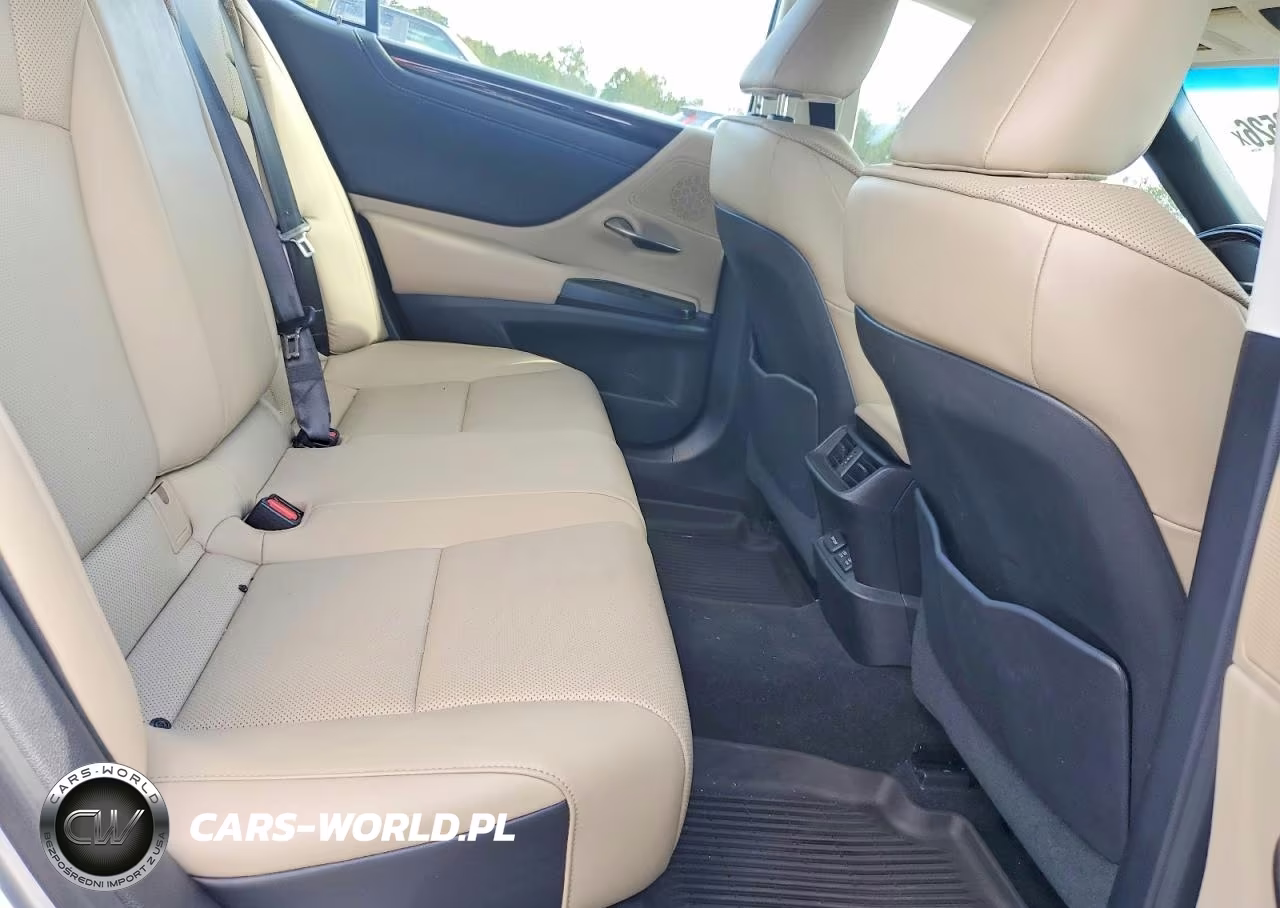 2020 Lexus Es 350 VIN:58ADZ1B1XLU077656 - 10