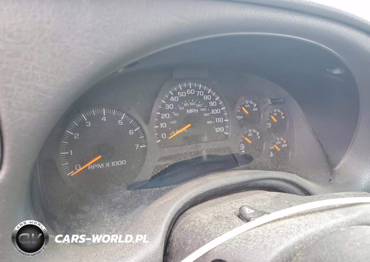 2002 Chevrolet Trailblazer VIN:1GNDT13S222334301 - 9