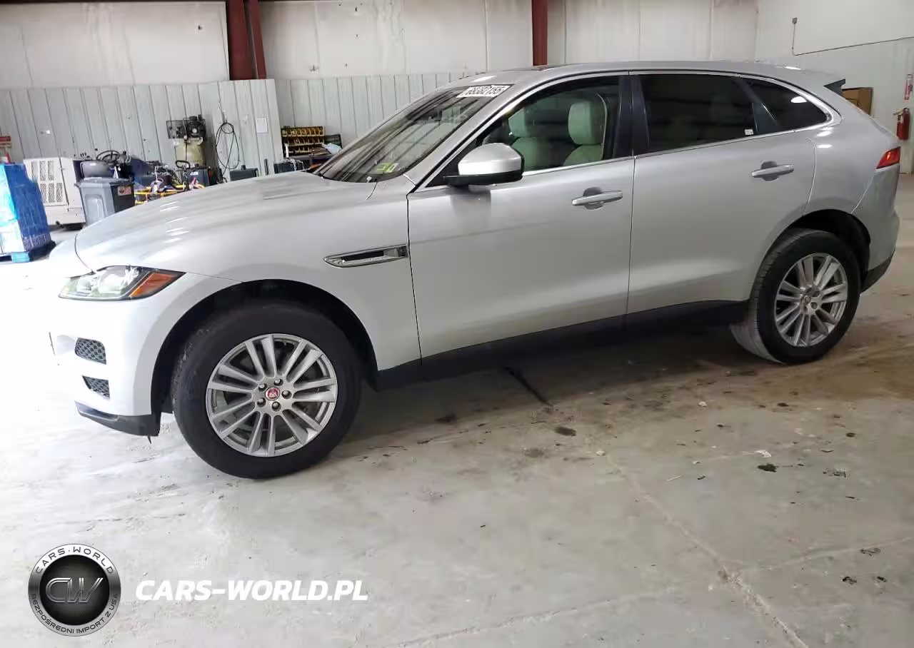 JAGUAR