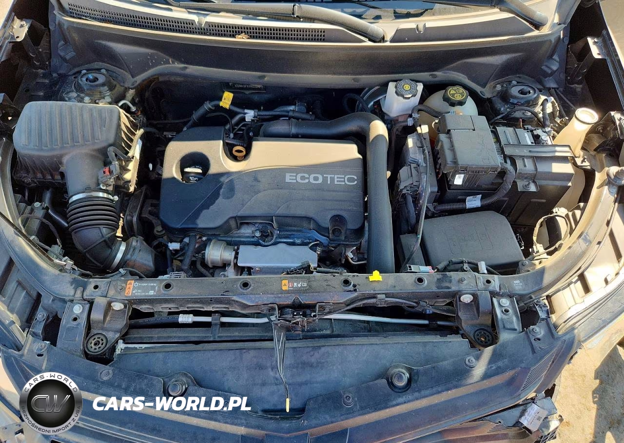 2019 Chevrolet Equinox Lt VIN:2GNAXJEV7K6232509 - 12
