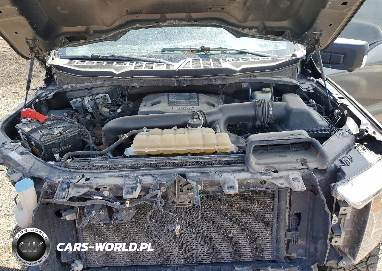 2021 Ford F150 Supercrew VIN:1FTFW1E87MFA32962 - 11