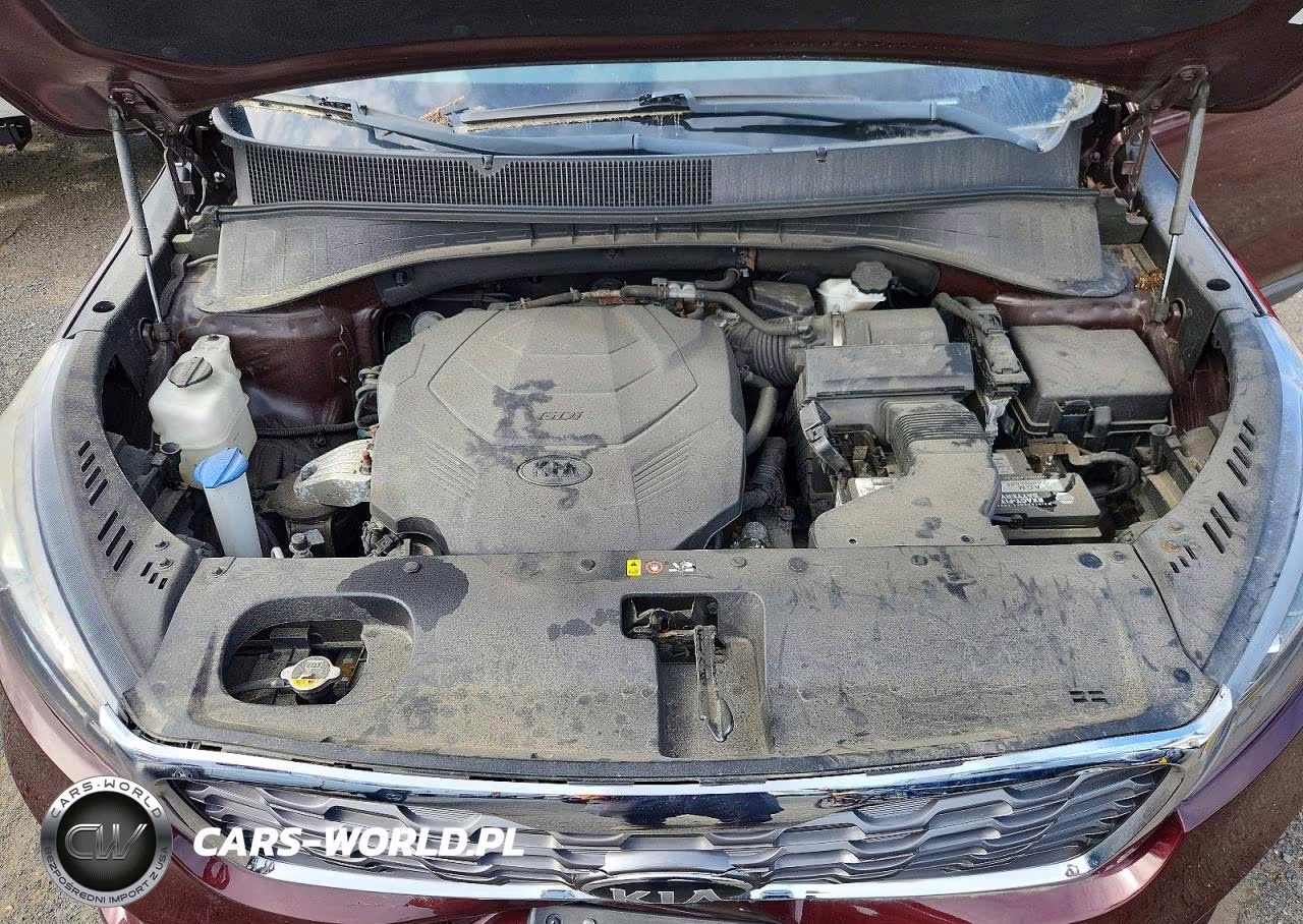 2019 Kia Sorento Ex V6 VIN:5XYPHDA59KG506142 - 12
