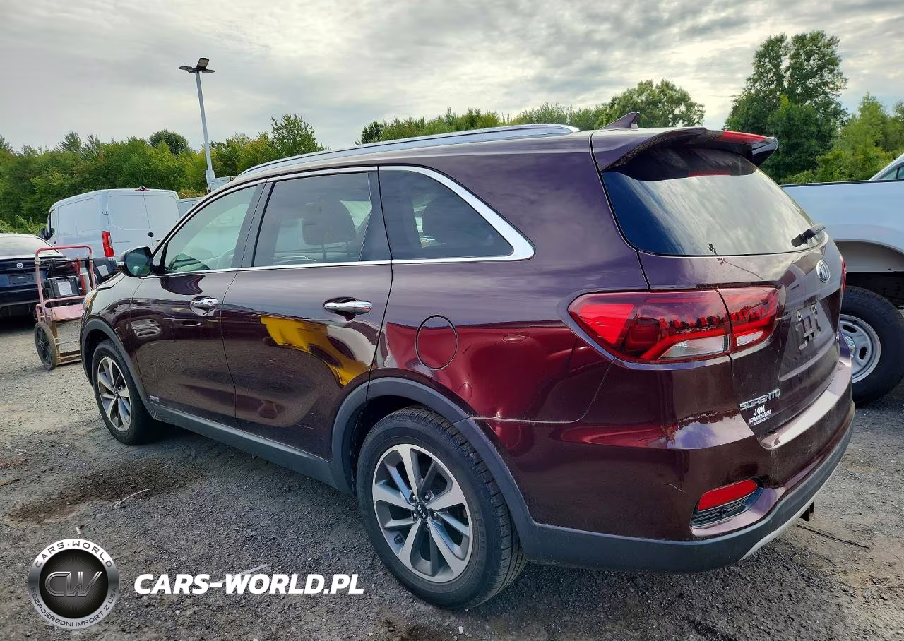 2019 Kia Sorento Ex V6 VIN:5XYPHDA59KG506142 - 2