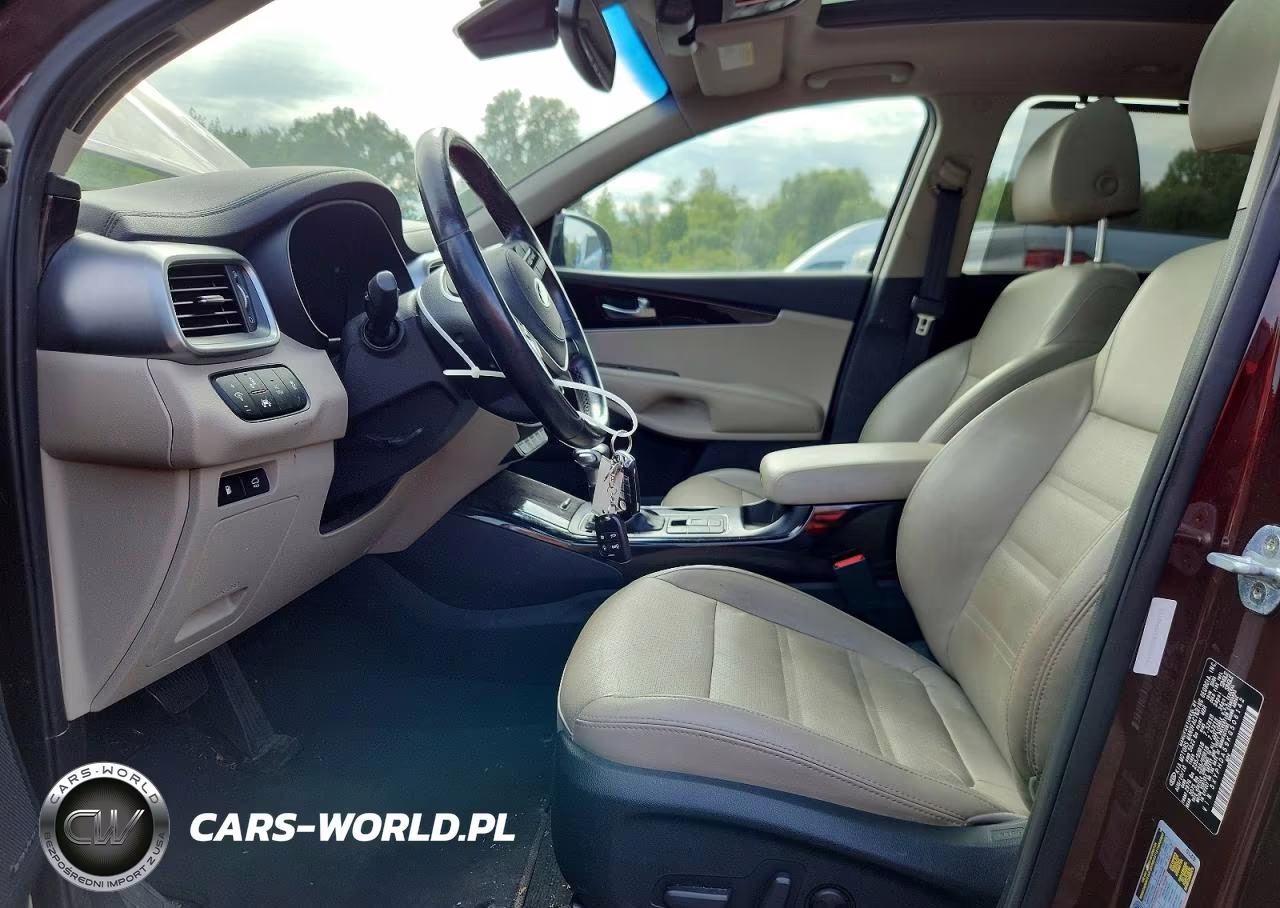 2019 Kia Sorento Ex V6 VIN:5XYPHDA59KG506142 - 7