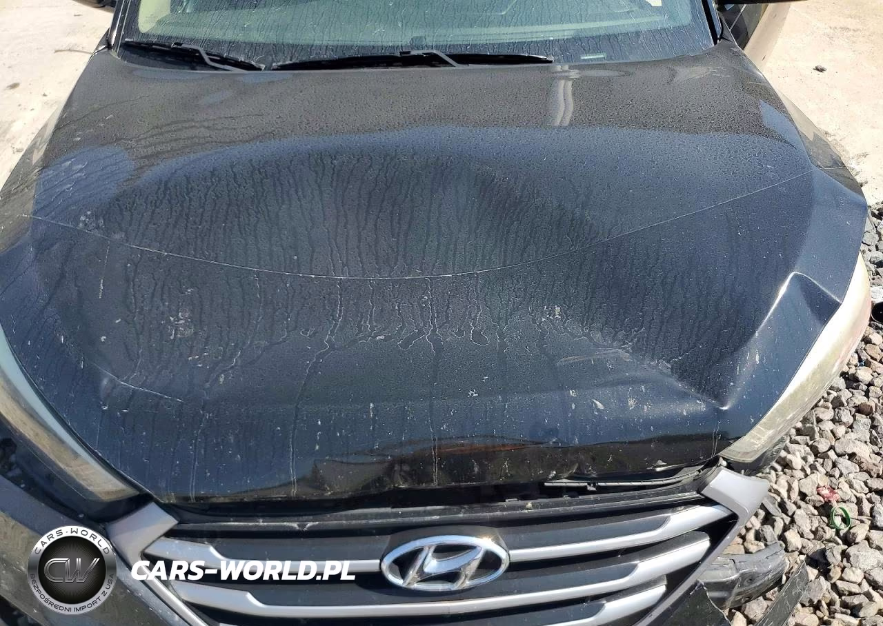 2017 Hyundai Tucson Se Plus VIN:KM8J33A4XHU375425 - 11