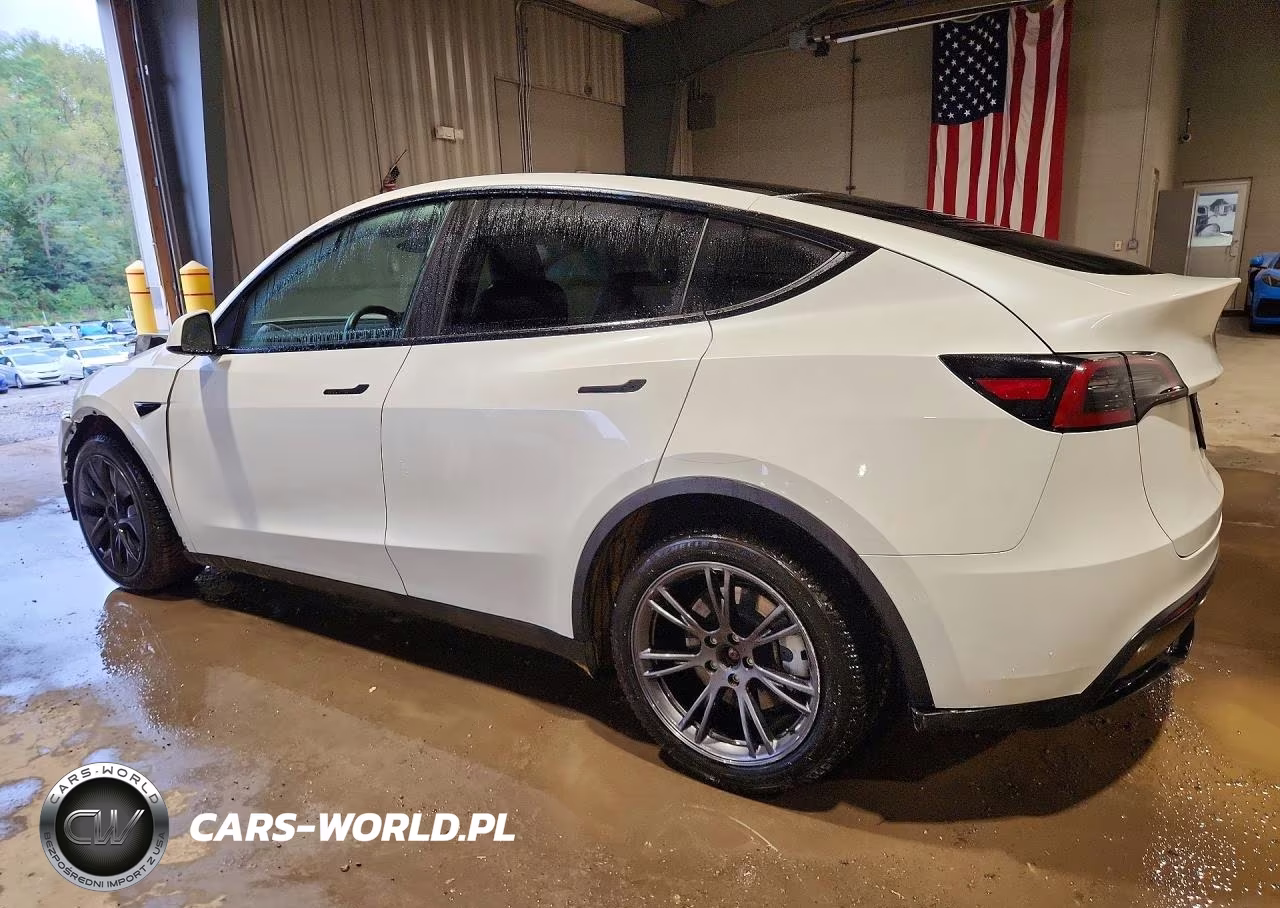 2025 Tesla Model Y VIN:7SAYGDEE1SA355564 - 2