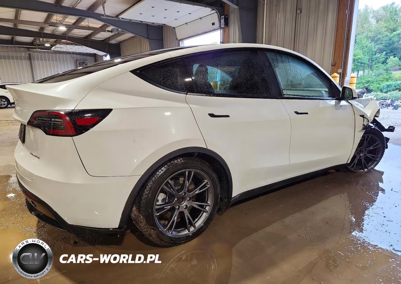 2025 Tesla Model Y VIN:7SAYGDEE1SA355564 - 3