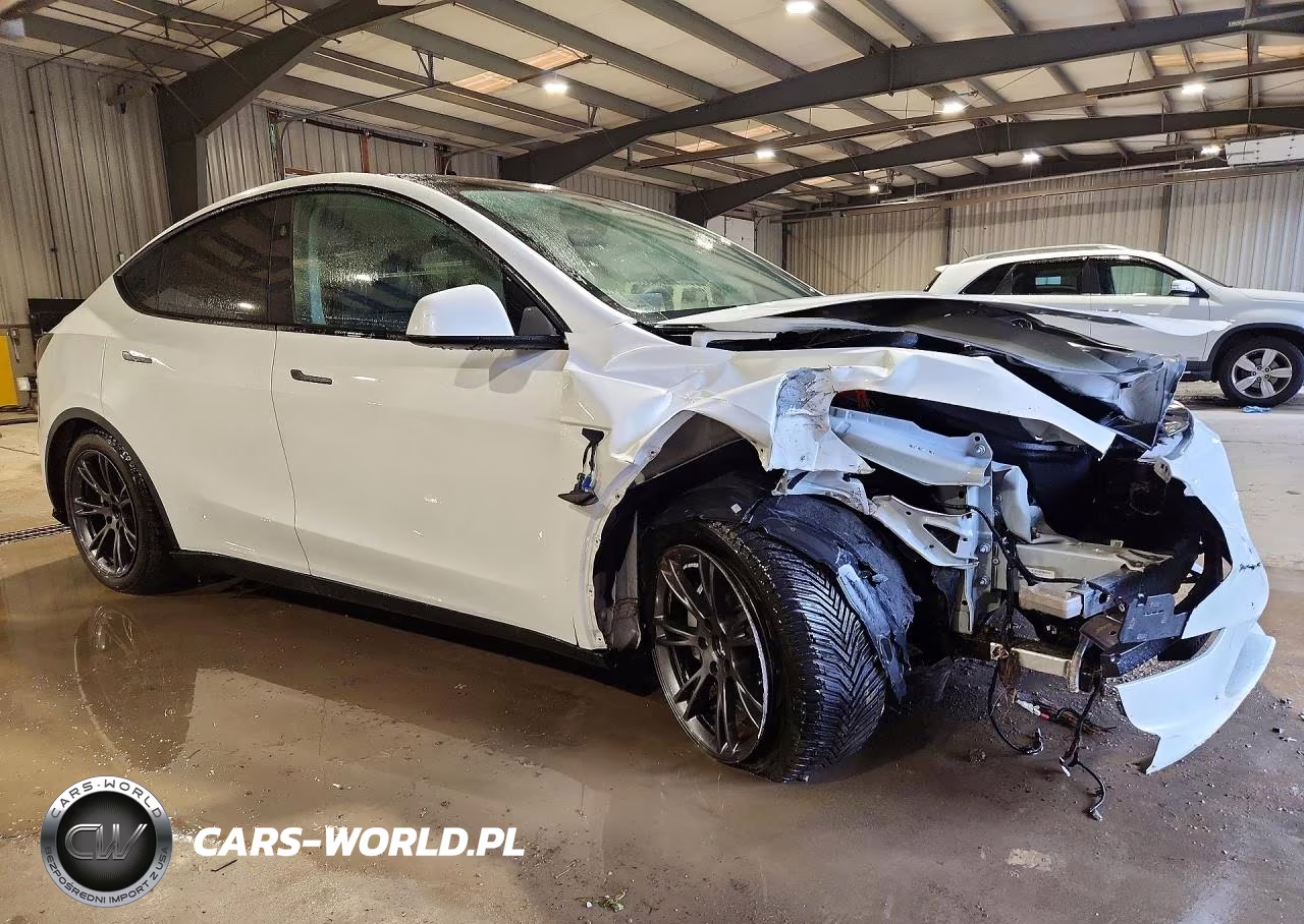 2025 Tesla Model Y VIN:7SAYGDEE1SA355564 - 4
