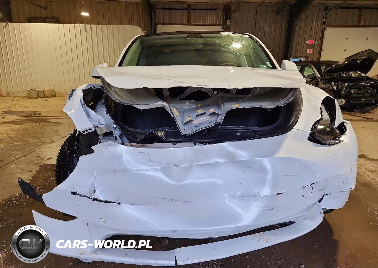 2025 Tesla Model Y VIN:7SAYGDEE1SA355564 - 5
