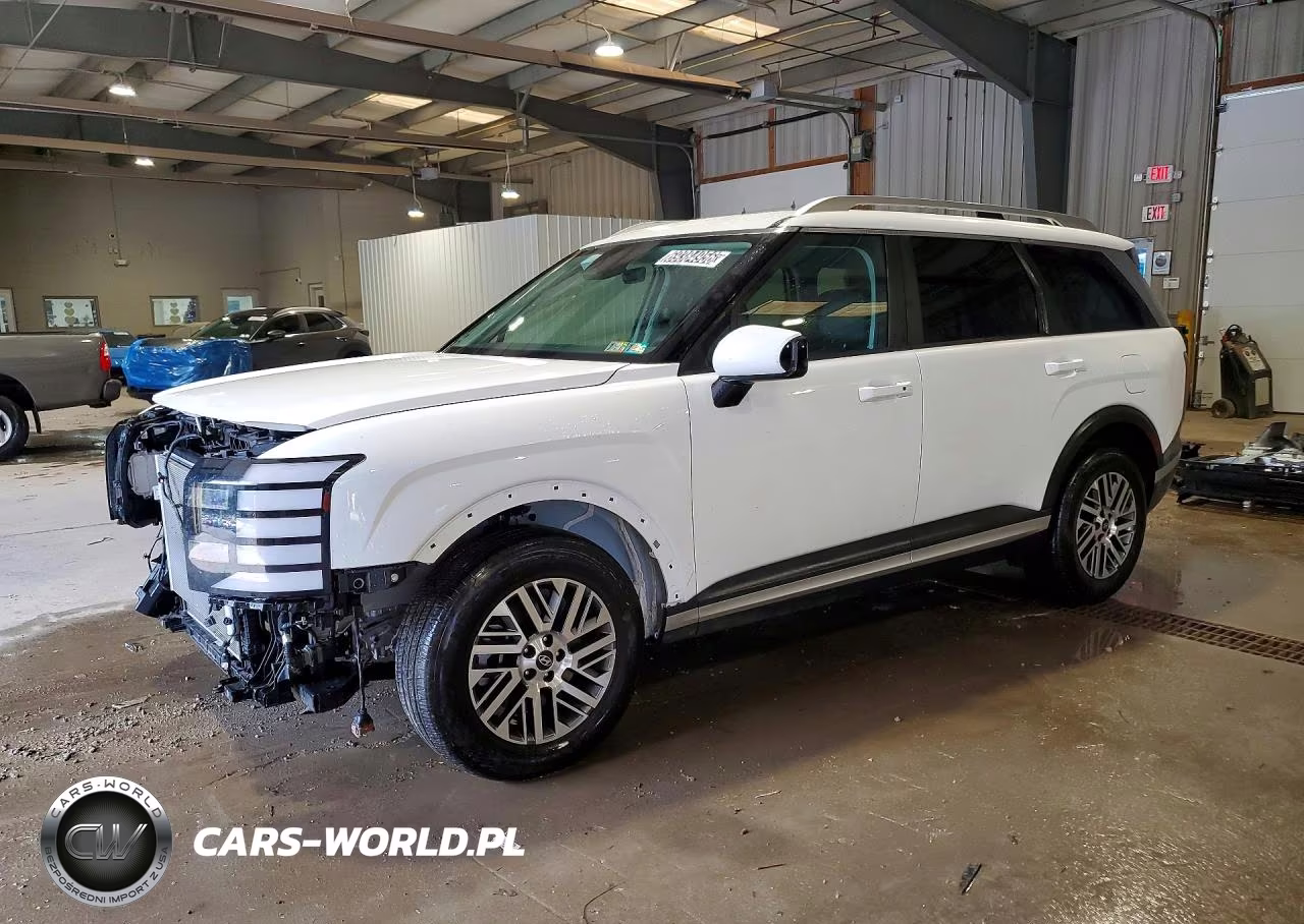 2026 Hyundai Palisade Sel VIN:KM8RLES24TU132455 - 1