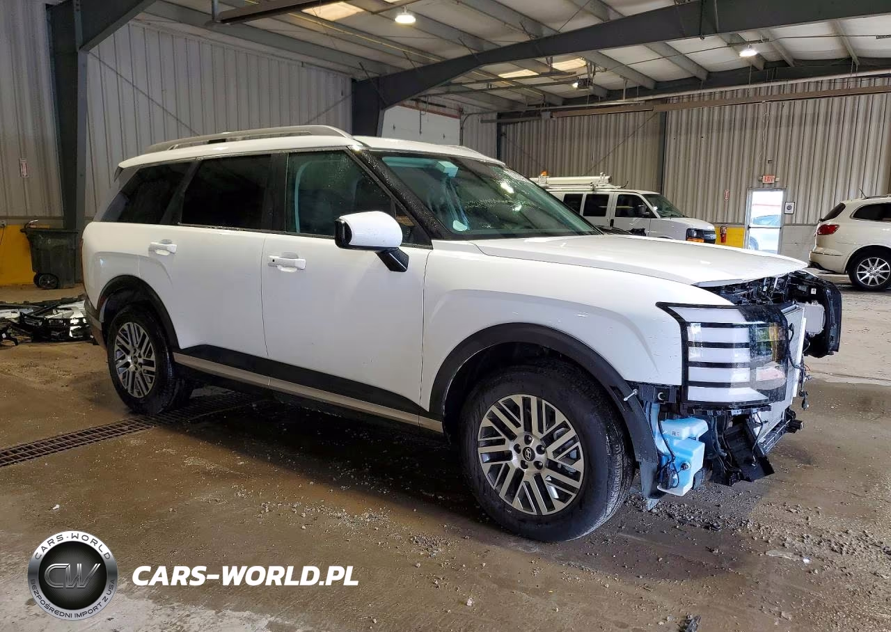 2026 Hyundai Palisade Sel VIN:KM8RLES24TU132455 - 4