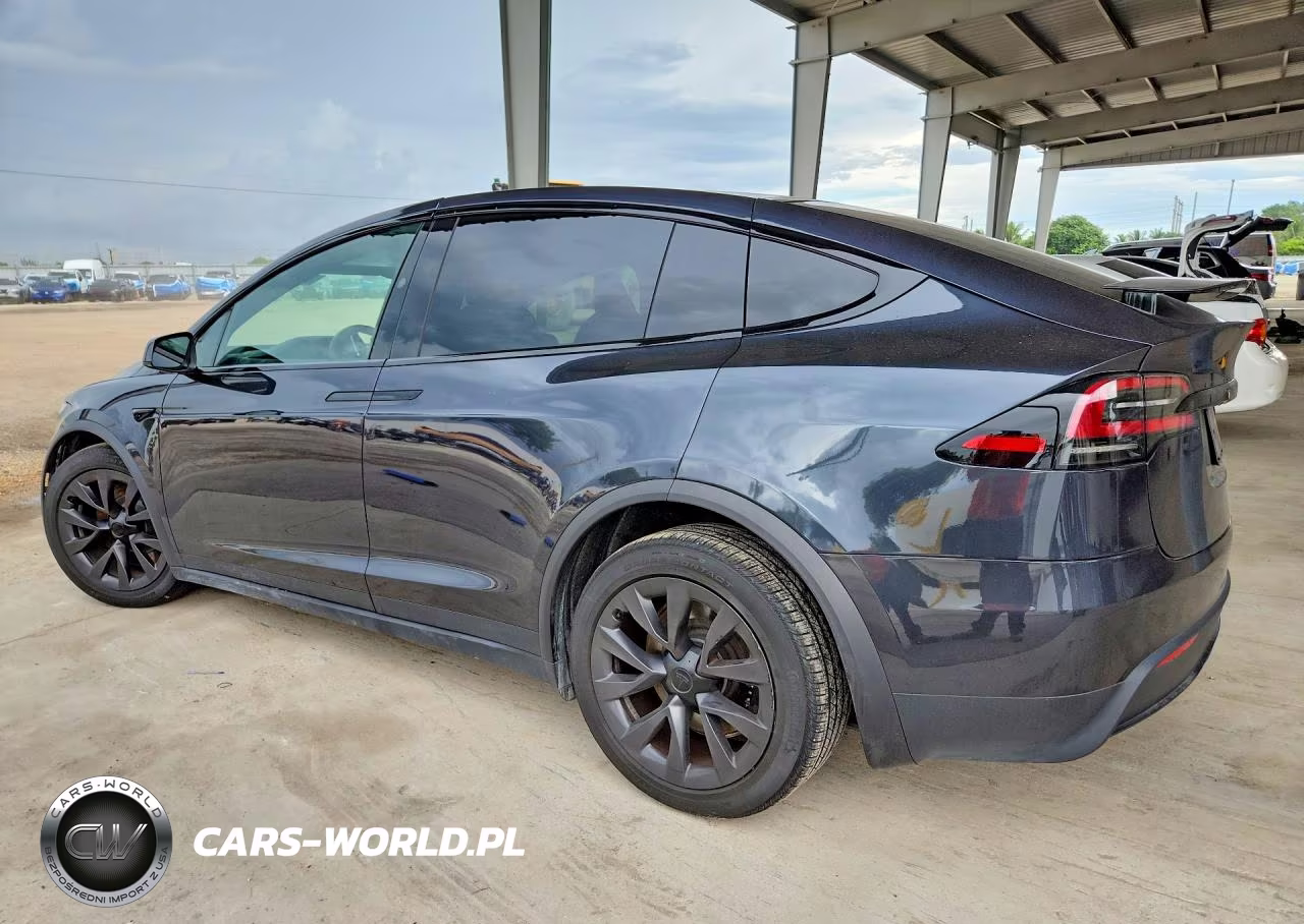 2024 Tesla Model X VIN:7SAXCAE56RF439365 - 2