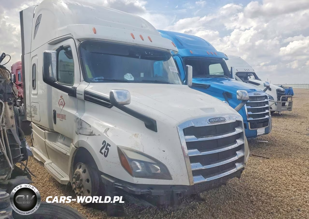 2020 Freightliner Cascadia 126 VIN:3AKJHHDR1LSLP7490 - 4